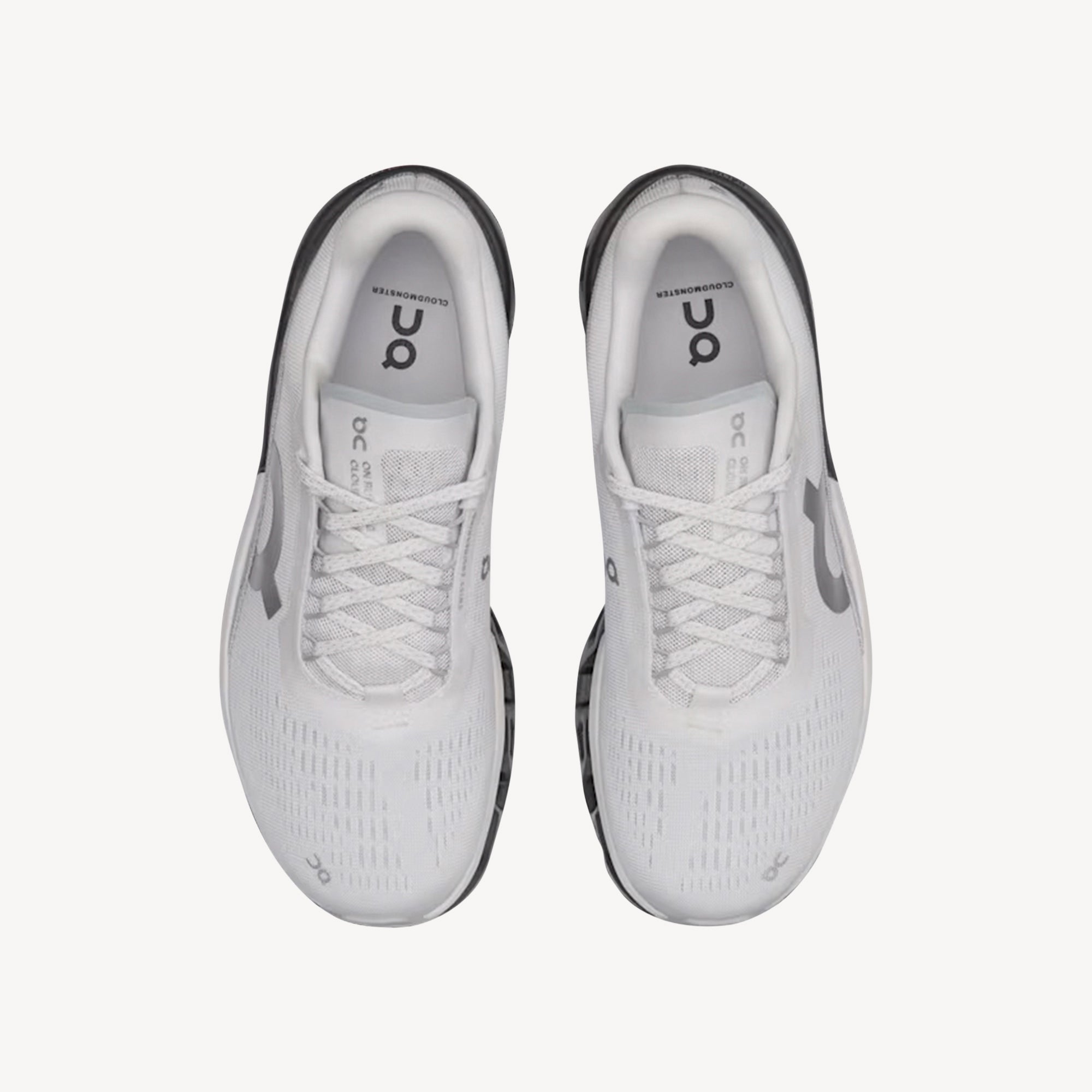 ON Cloudmonster 2 Frost / Rock Womens