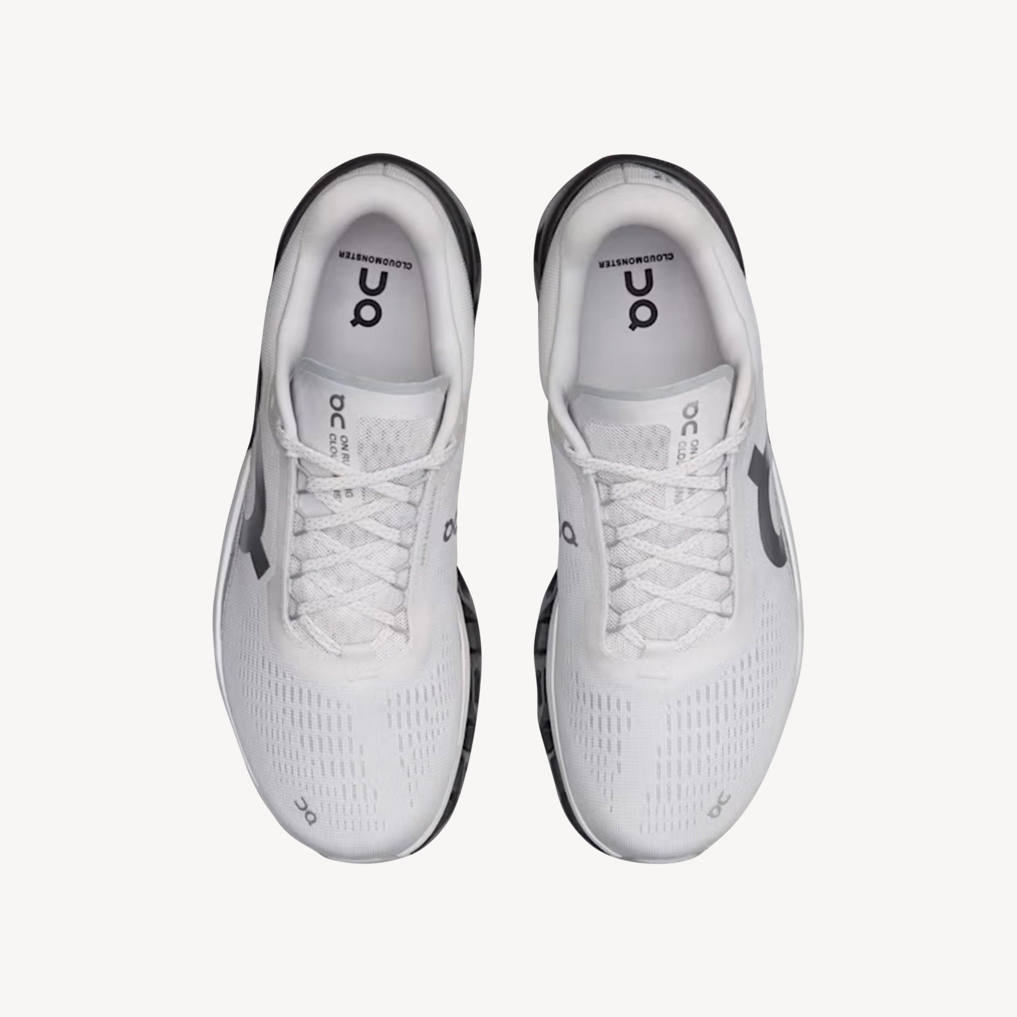 ON Cloudmonster 2 Frost / Rock Mens