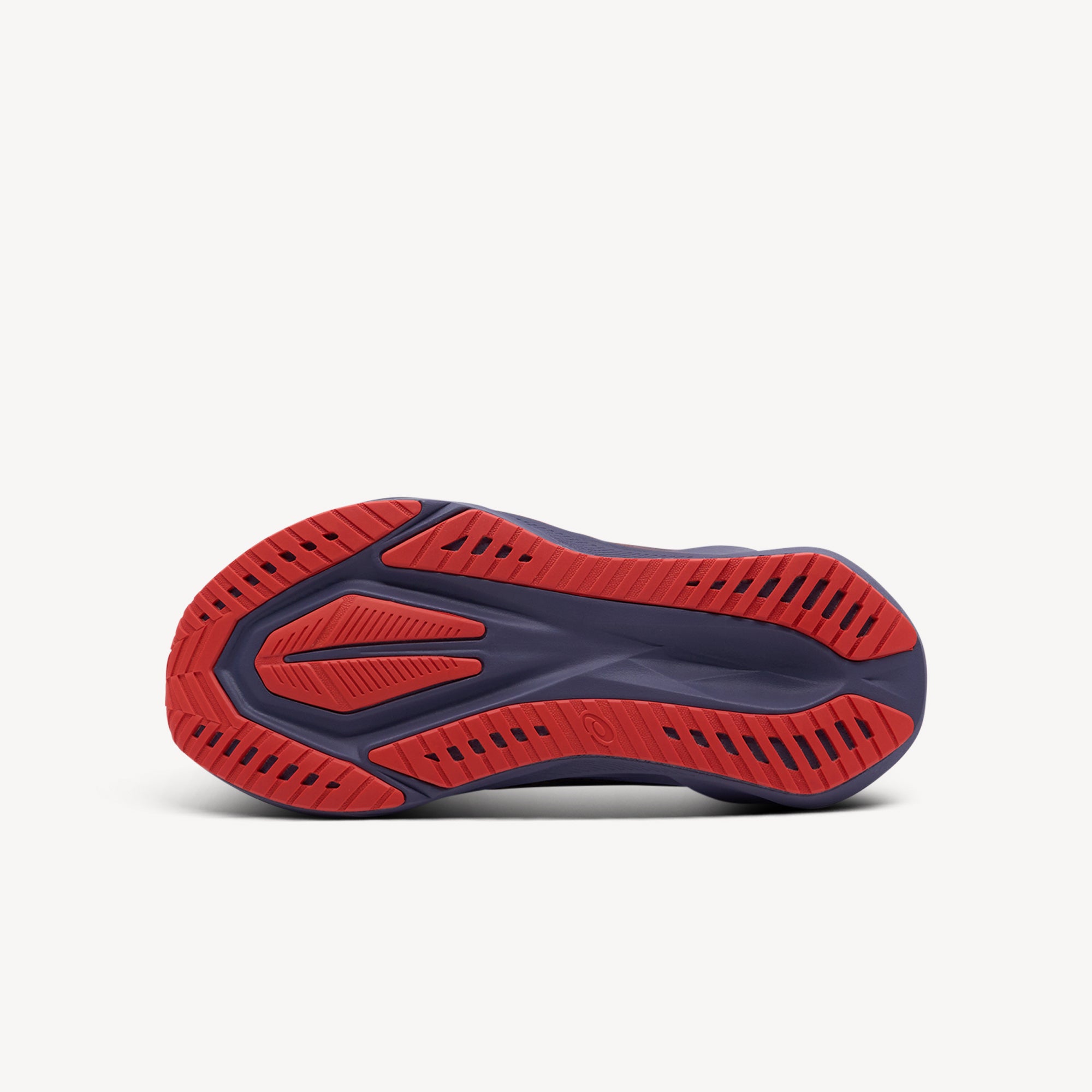 Asics Novablast 5 Greyish Purple / Coral Reef Womens