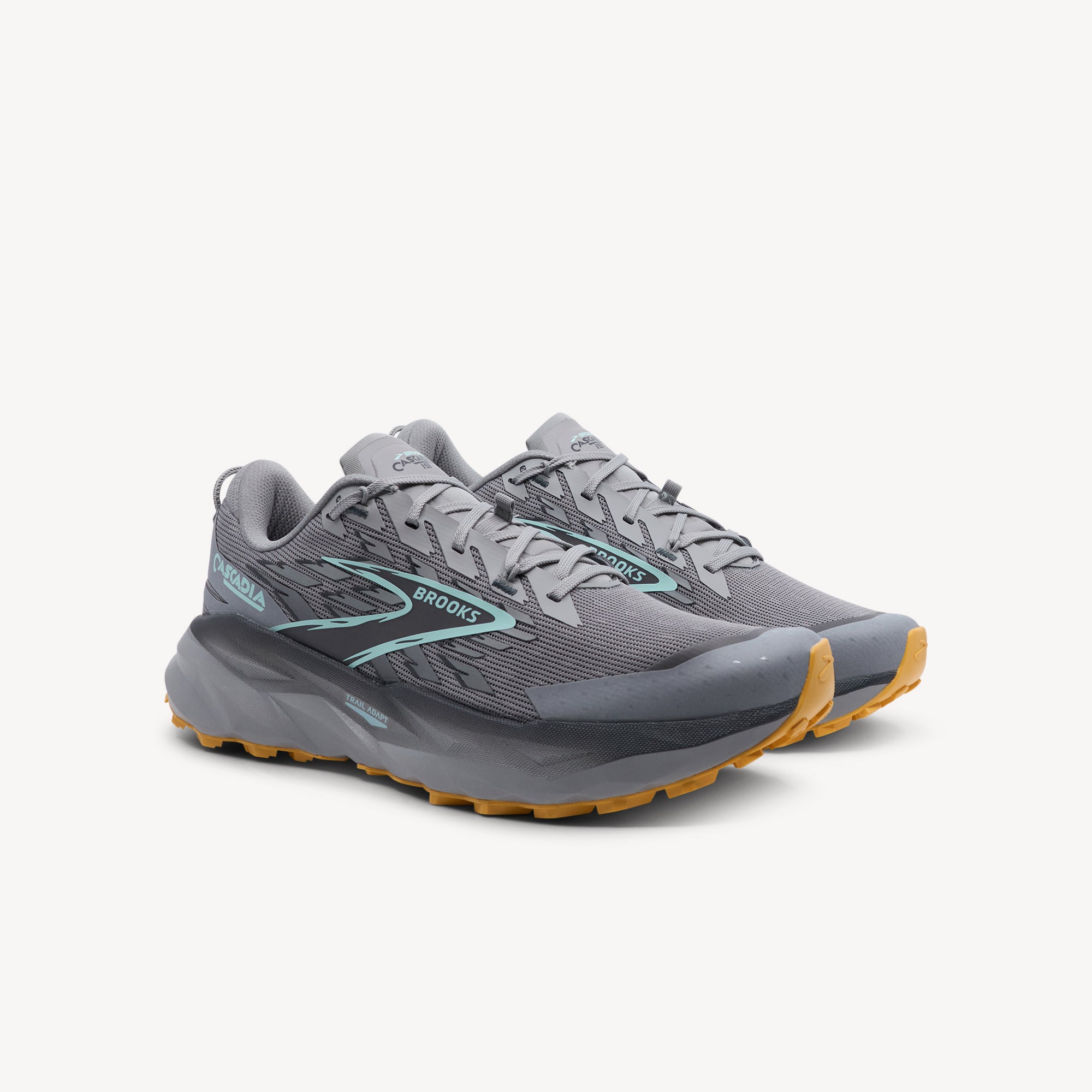 Brooks Cascadia 19 Alloy / Ebony / Orange Mens