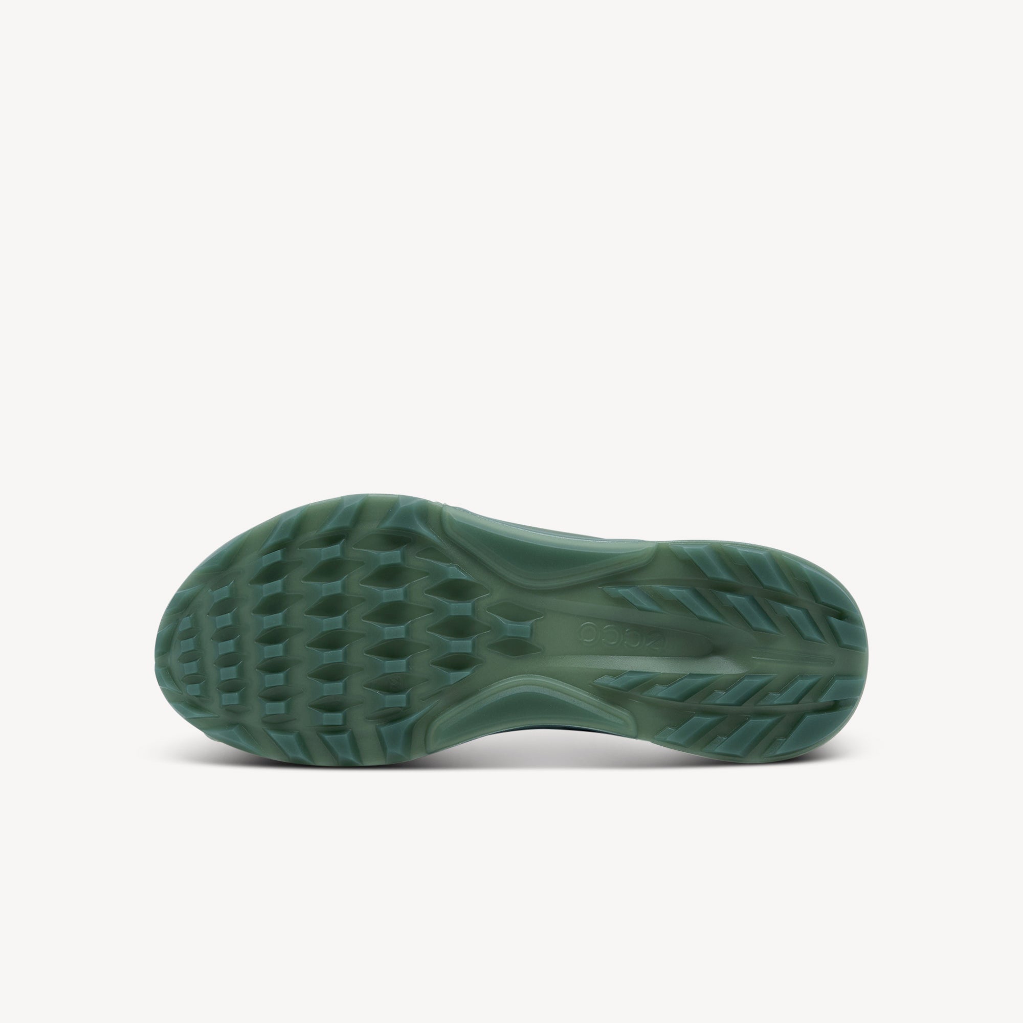 Ecco Golf Biom C4 Magnet Mens