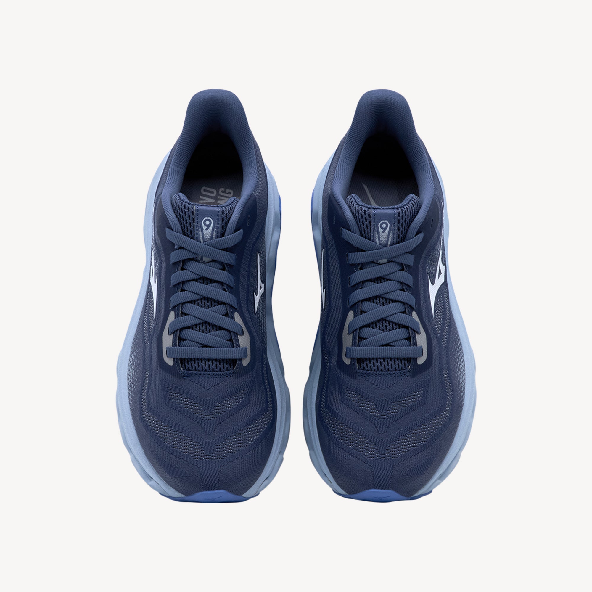 Mizuno Wave Horizon 9 Wild Wind / White / Vista Blue Womens