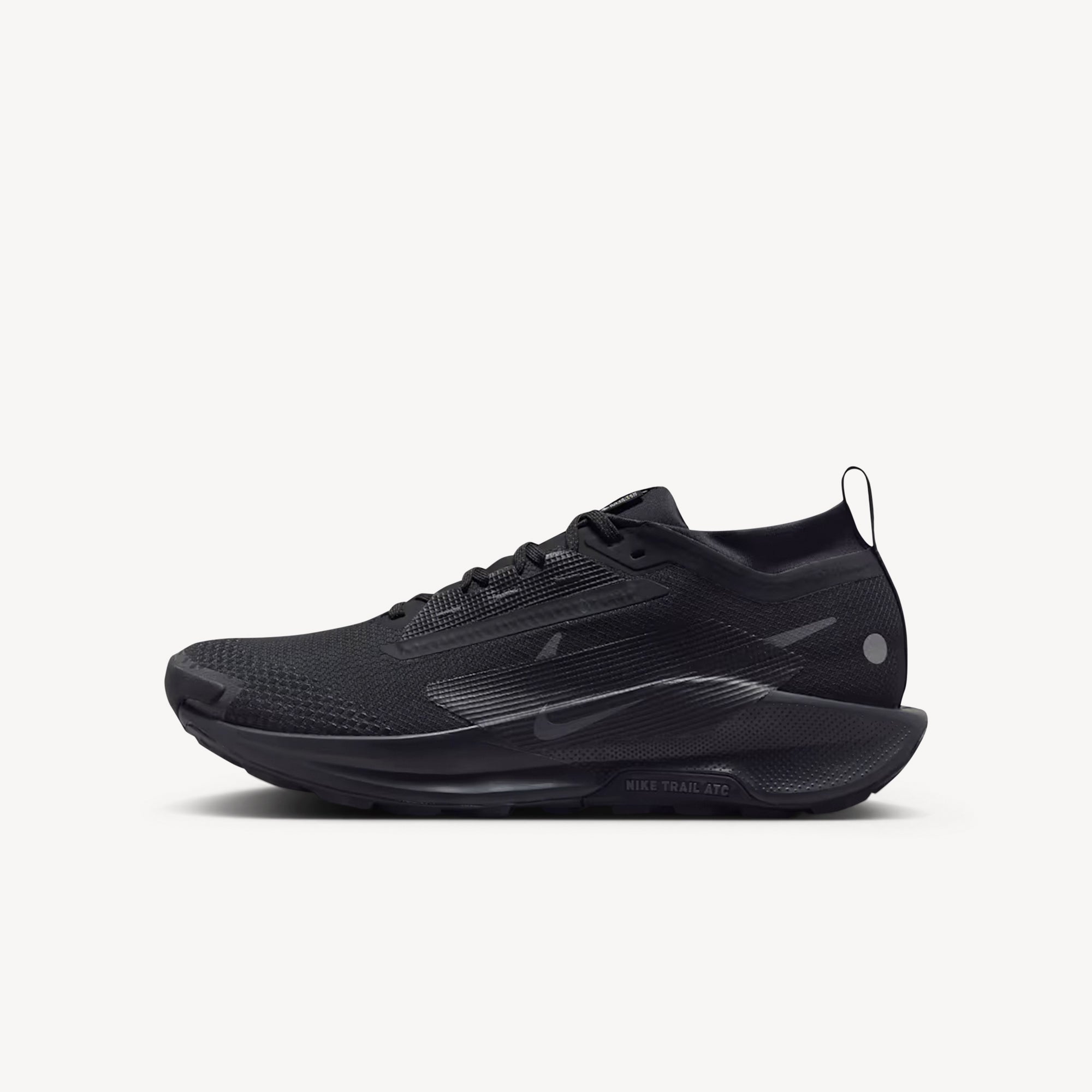 Nike Pegasus Trail 5 GTX Black / Black Anthracite Mens