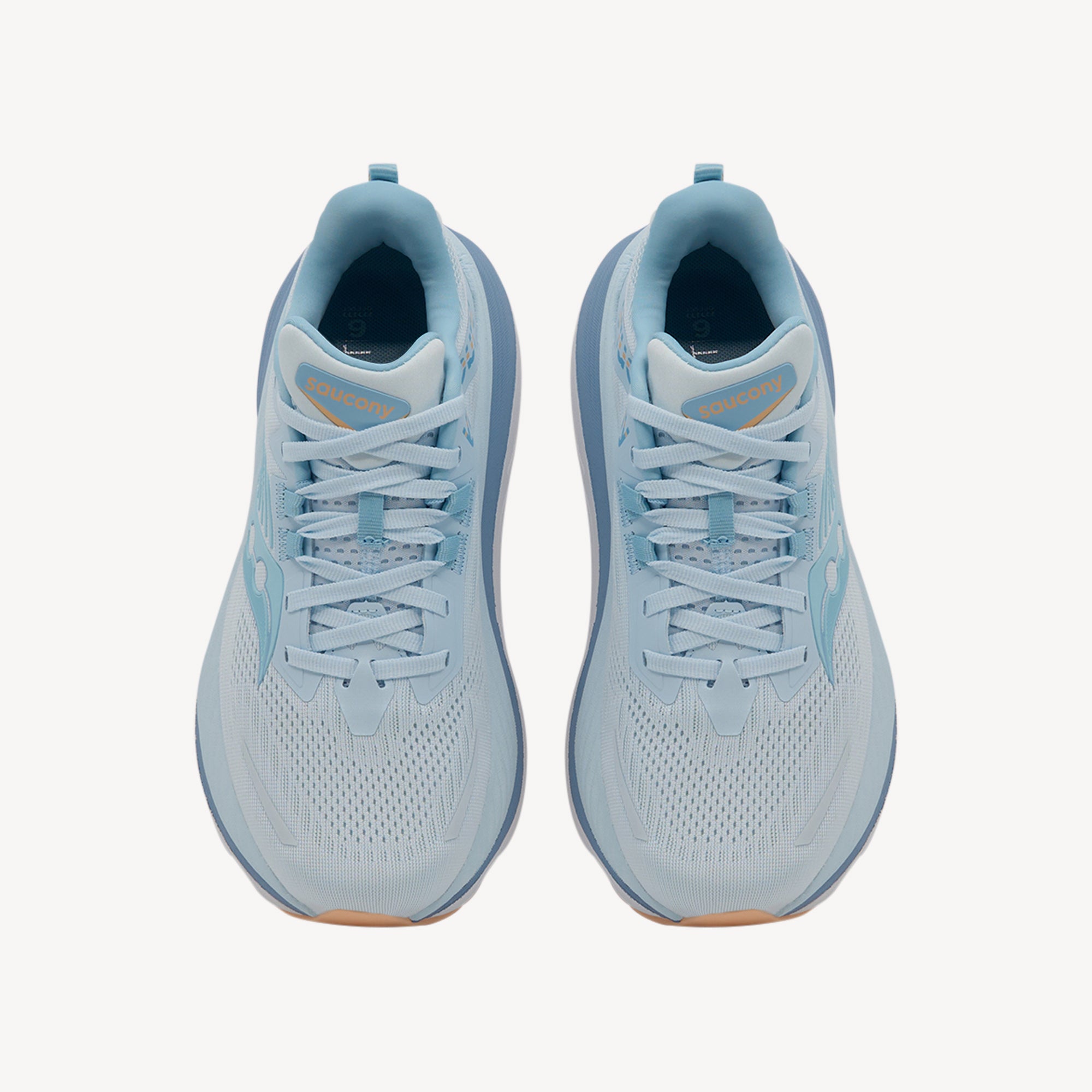 Saucony Hurricane 24 Ice Melt Womens