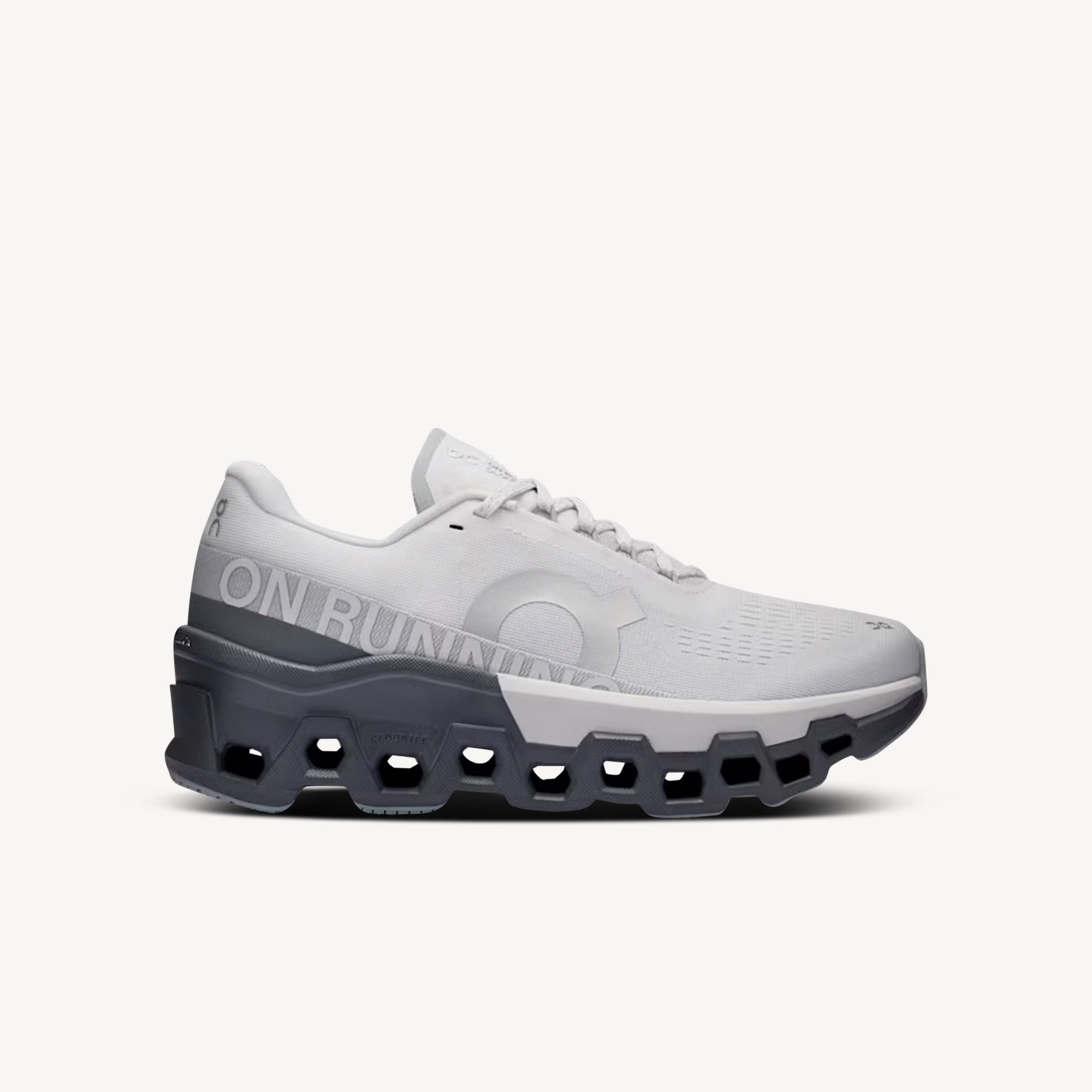 ON Cloudmonster 2 Frost / Rock Womens