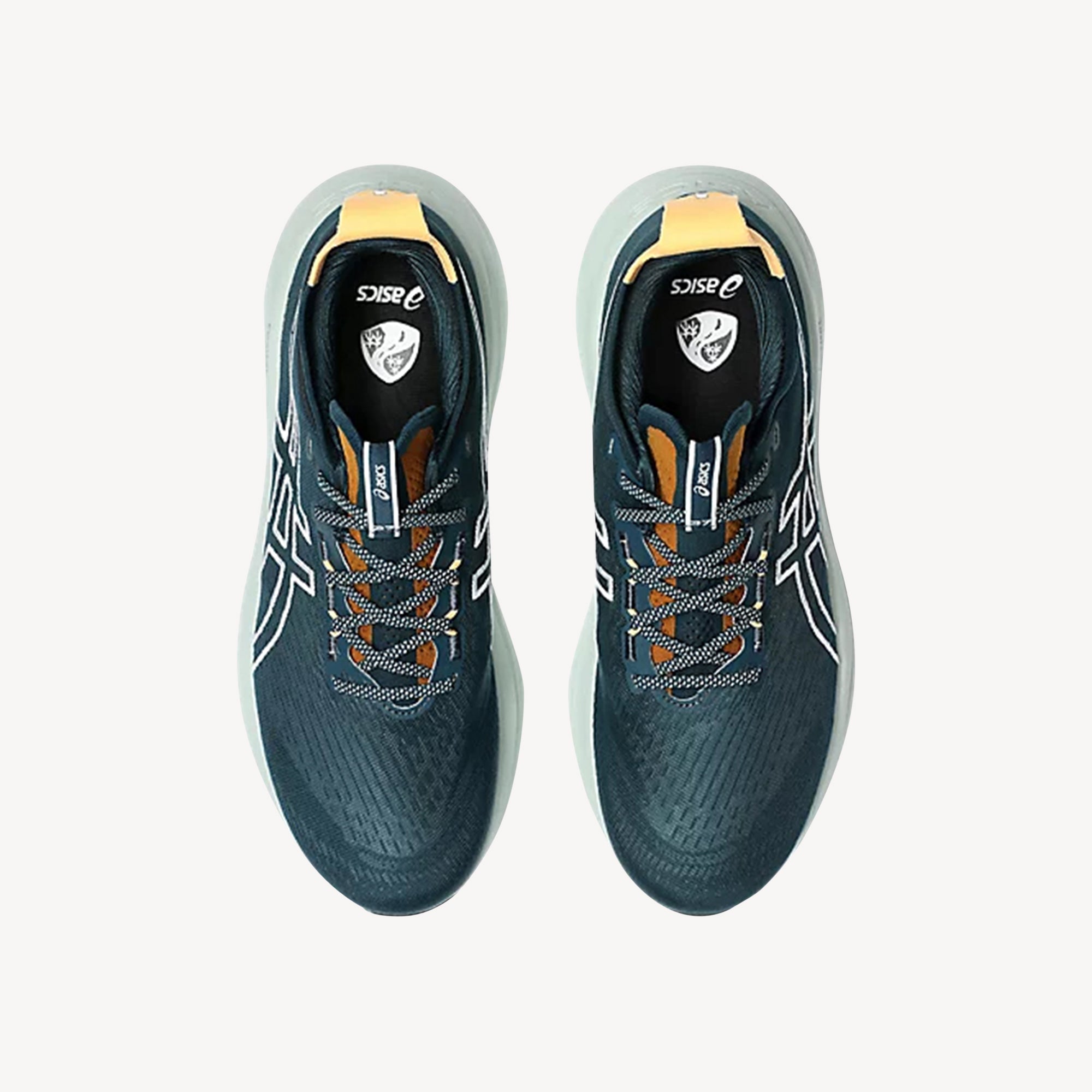 Asics Gel-Nimbus 27 TR Nature Bathing / Tranquil Teal Mens