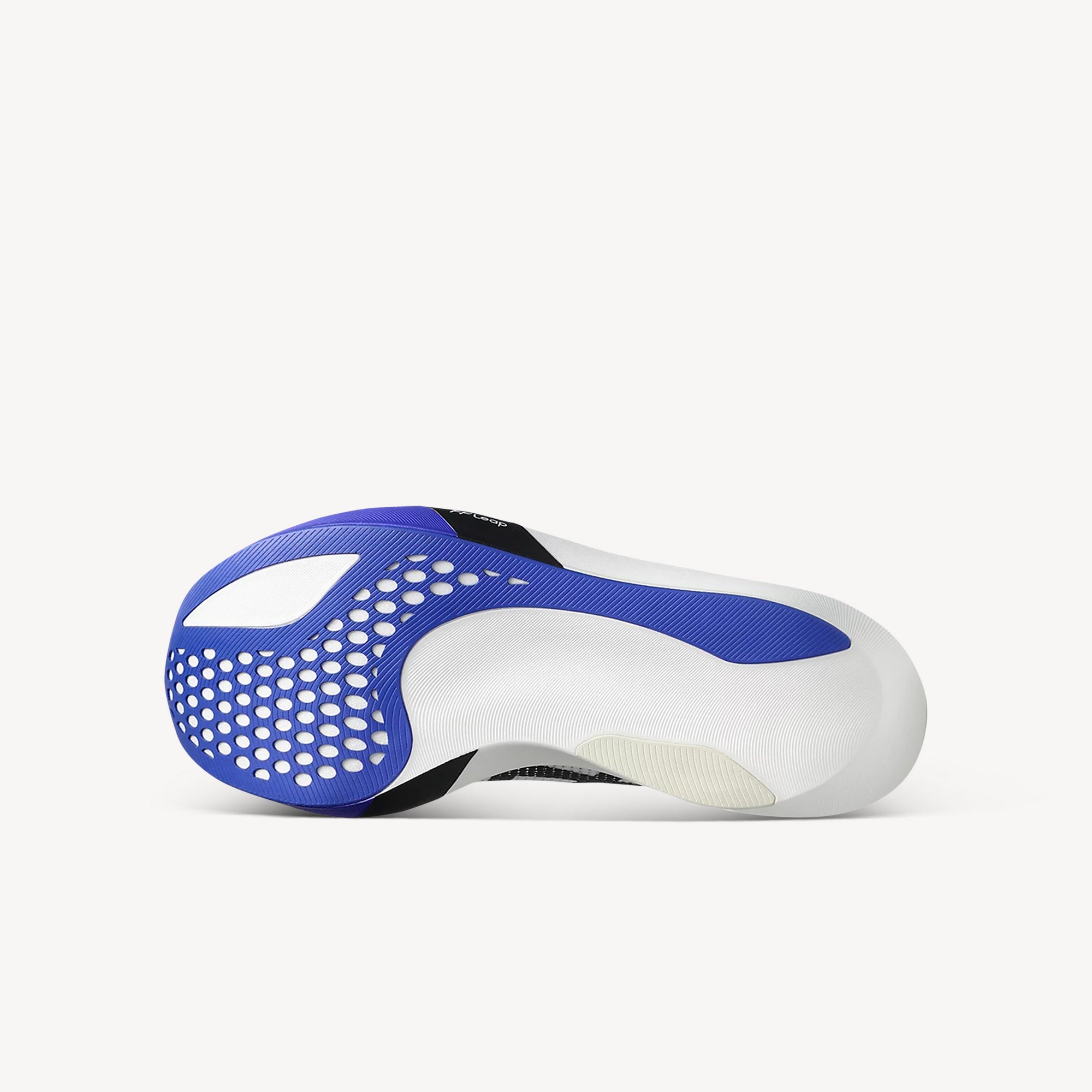 Asics Metaspeed Sky Tokyo White / Cobalt Burst Unisex