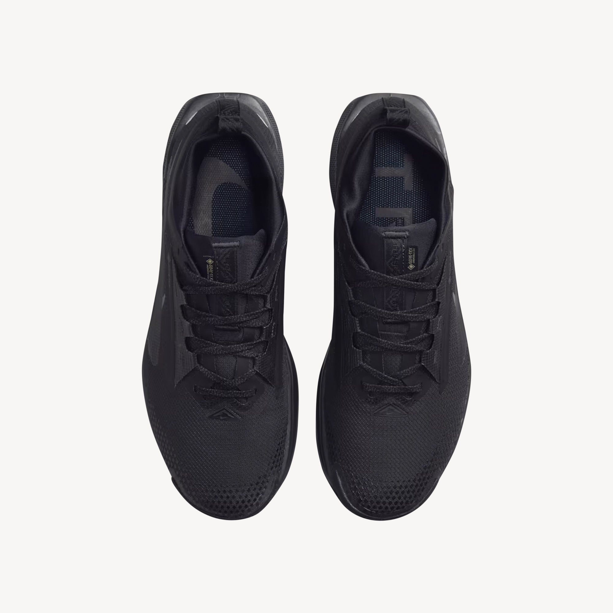 Nike Pegasus Trail 5 GTX Black / Black Anthracite Mens